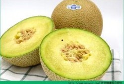 宝宝两周吃哈密瓜好吗,两周宝宝适宜食用哈密瓜的探讨