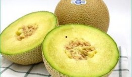 宝宝两周吃哈密瓜好吗,两周宝宝适宜食用哈密瓜的探讨