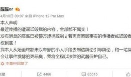 项思醒吃瓜ppt,揭秘娱乐圈幕后故事