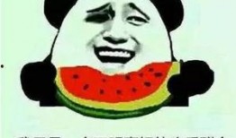 永远做吃瓜群众,永远做吃瓜群众的快乐与智慧