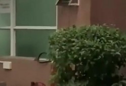 新洲最新吃瓜新闻事件,真相竟如此惊人！