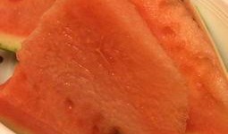 暖气吃瓜,揭秘暖气吃瓜的独特魅力