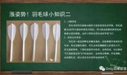羽毛球群吃瓜