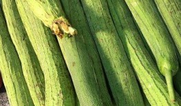 吃瓜医药代表,揭秘医药代表的真实生活