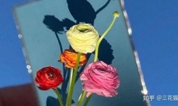 吃瓜文案花花,吃瓜群众花花带你揭秘娱乐圈那些事儿