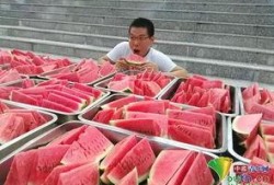 吃瓜党员,揭秘网络舆论场中的党员风采