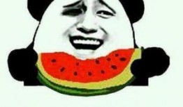 吃瓜的群众灰灰,揭秘娱乐圈背后的故事