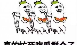 吃瓜群众大合集下载