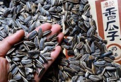 吃瓜等于吃油吗