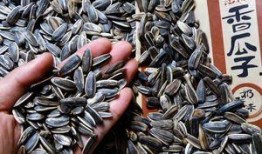 吃瓜等于吃油吗