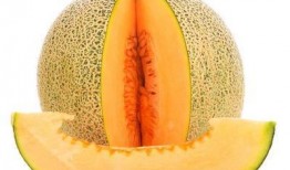 湿疹吃哈密瓜,哈密瓜助力缓解不适