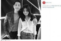 可颂夫妇吃瓜,娱乐圈背后的那些事儿