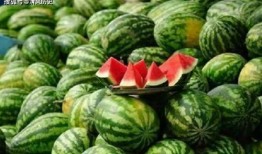 可以吃瓜的网站,一网打尽娱乐圈最新动态