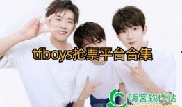 吃瓜tfboys买票,吃瓜群众纷纷加入购票大军