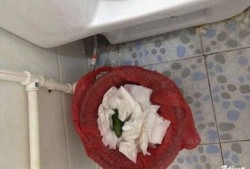 厕所吃瓜视频,揭秘网络热传视频背后的故事