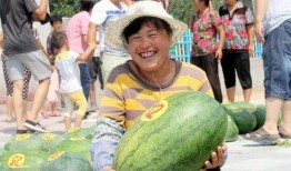 吃瓜群众在哪找瓜