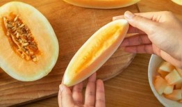 吃瓜共同体,网络时代的全民娱乐现象