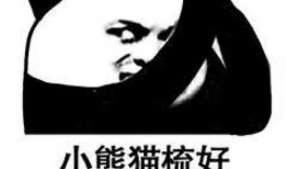 吃瓜搞笑熊猫表情包,表情包笑料横生