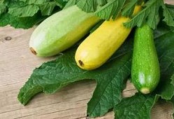 吃瓜5xyz,一场网络热词背后的文化现象