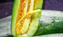 吃萝卜瓜,营养丰富的健康美食探索之旅