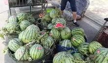 安溪妇幼吃瓜事件,一场网络舆论的风波与反思