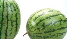 吃拉瓜过敏,探寻过敏源与应对策略