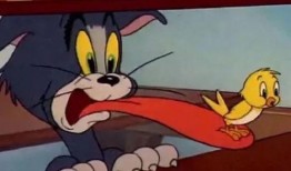 汤姆猫吃瓜头像,揭秘网红头像背后的趣味与魅力