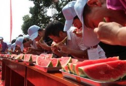 瓜州吃瓜大赛,一场盛夏的甜蜜狂欢