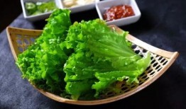 中午吃生菜和蟹瓜,夏日午后的清新美味之旅