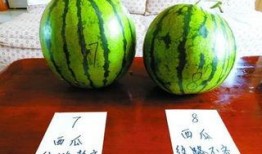 柳州摩友圈吃瓜