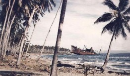 吃瓜岛在哪里,揭秘其神秘地理位置与独特魅力