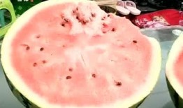 温职吃瓜,揭秘那些“吃瓜”背后的故事