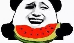 胖子可以吃瓜,揭秘胖子吃瓜的秘诀与乐趣