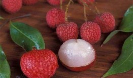 男友吃瓜荔枝视频,男友吃瓜荔枝，解锁夏日清新瞬间