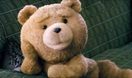 毛绒熊吃瓜,毛绒熊的夏日瓜趣之旅