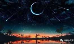 全员吃瓜星辰大海,共赴星辰大海的奇幻之旅