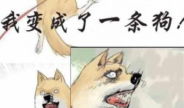 吃瓜大姐小说阅读免费