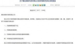 吃瓜保单,轻松应对意外，畅享生活无忧