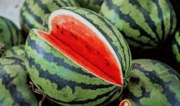 兰城市最新吃瓜,揭秘网红美食背后的秘密