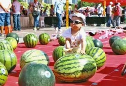 赛后吃瓜,揭秘赛场背后的精彩瞬间