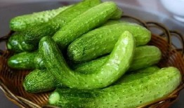 吃瓜阁,吃瓜阁带你领略明星幕后故事