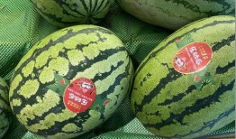 重庆北碚吃瓜,探寻重庆北碚的夏日美食风情