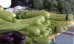 吃毒瓜的危害,揭秘食用有毒瓜果的严重后果