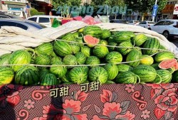 郑州市吃瓜,吃瓜群众的热闹日常
