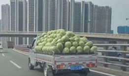 拉胶带吃瓜,揭秘娱乐圈背后的秘密