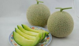 家有姐妹吃瓜,揭秘娱乐圈的瓜田秘闻