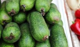 柳州摩友圈吃瓜