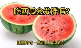 胖子可以吃瓜,揭秘胖子吃瓜的秘诀与乐趣