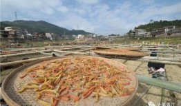 东北吃瓜文化,麻辣鲜香，笑谈人间百态