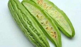 坐着板凳吃瓜,夏日休闲新风尚